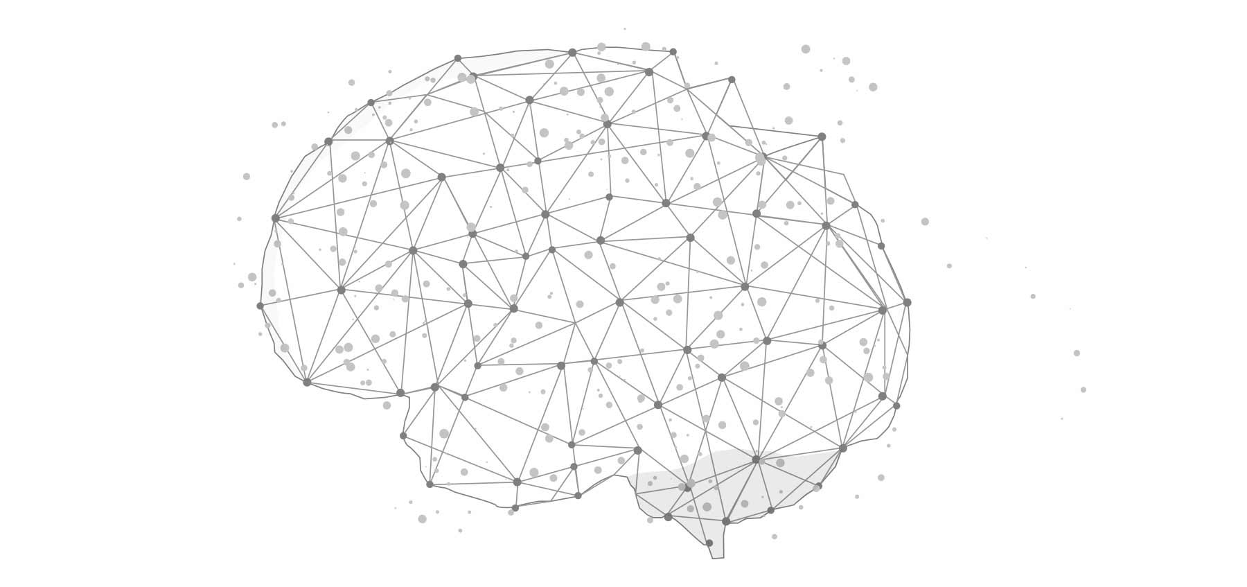 Data Science Brain